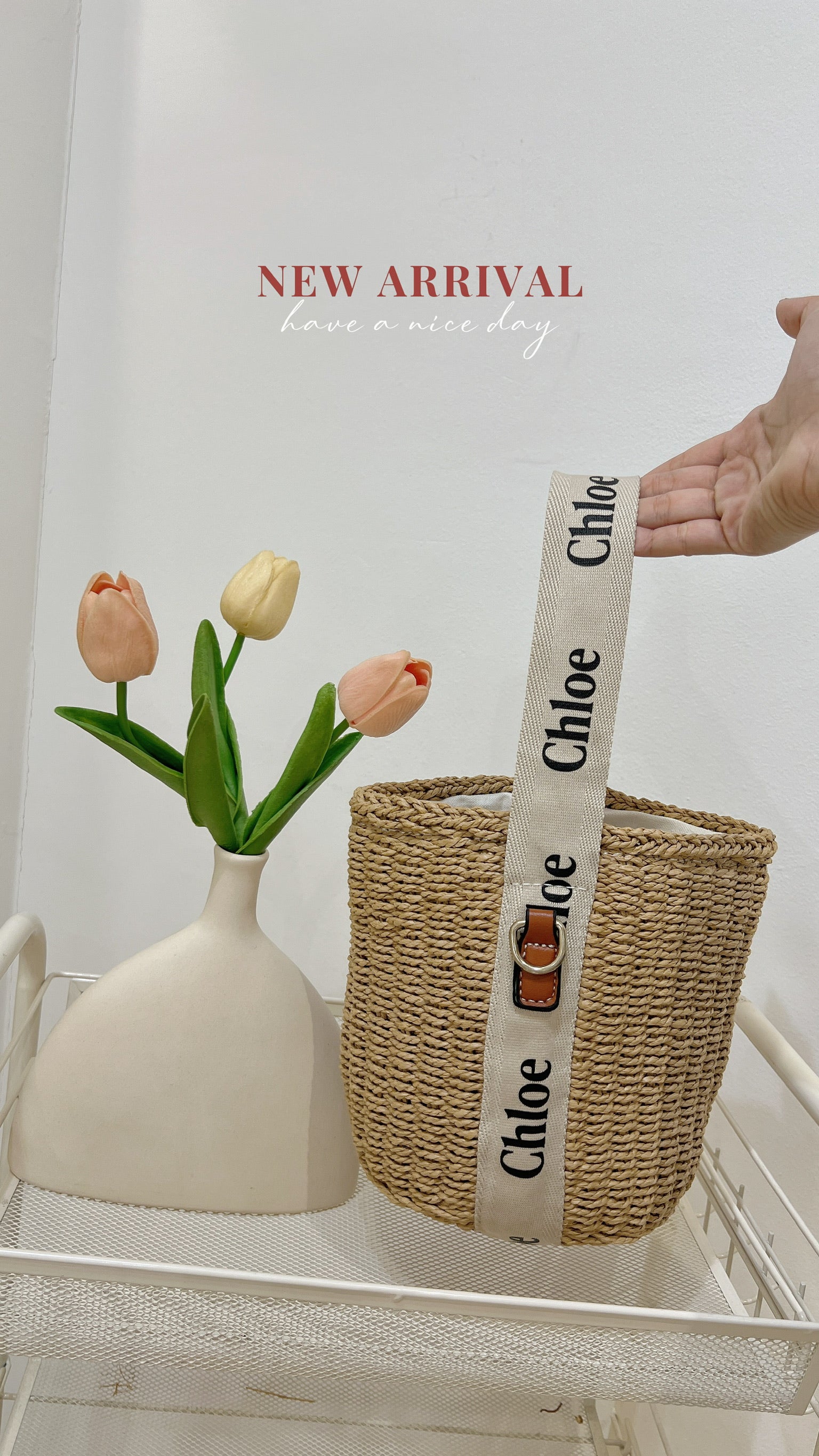 Chloe Bag