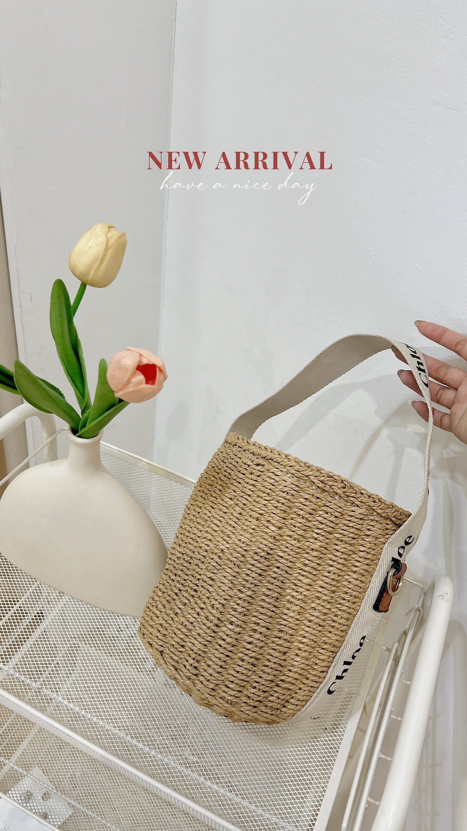 Chloe Bag
