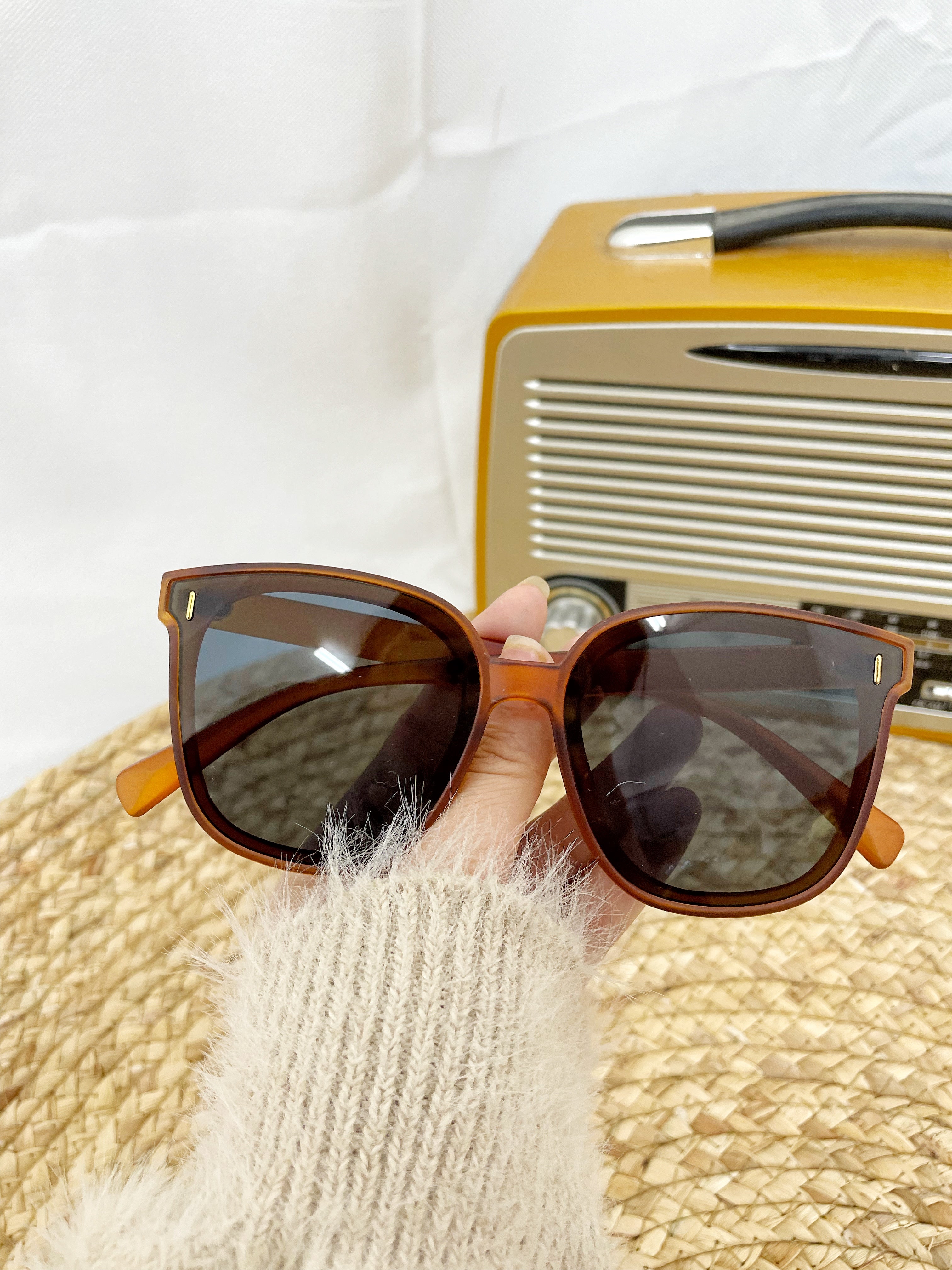Classic Brown Sunglasses
